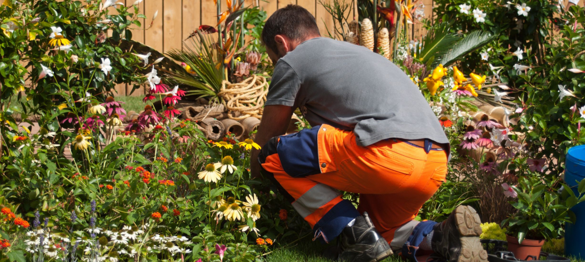 Espaces verts et entrepreneurs de jardins